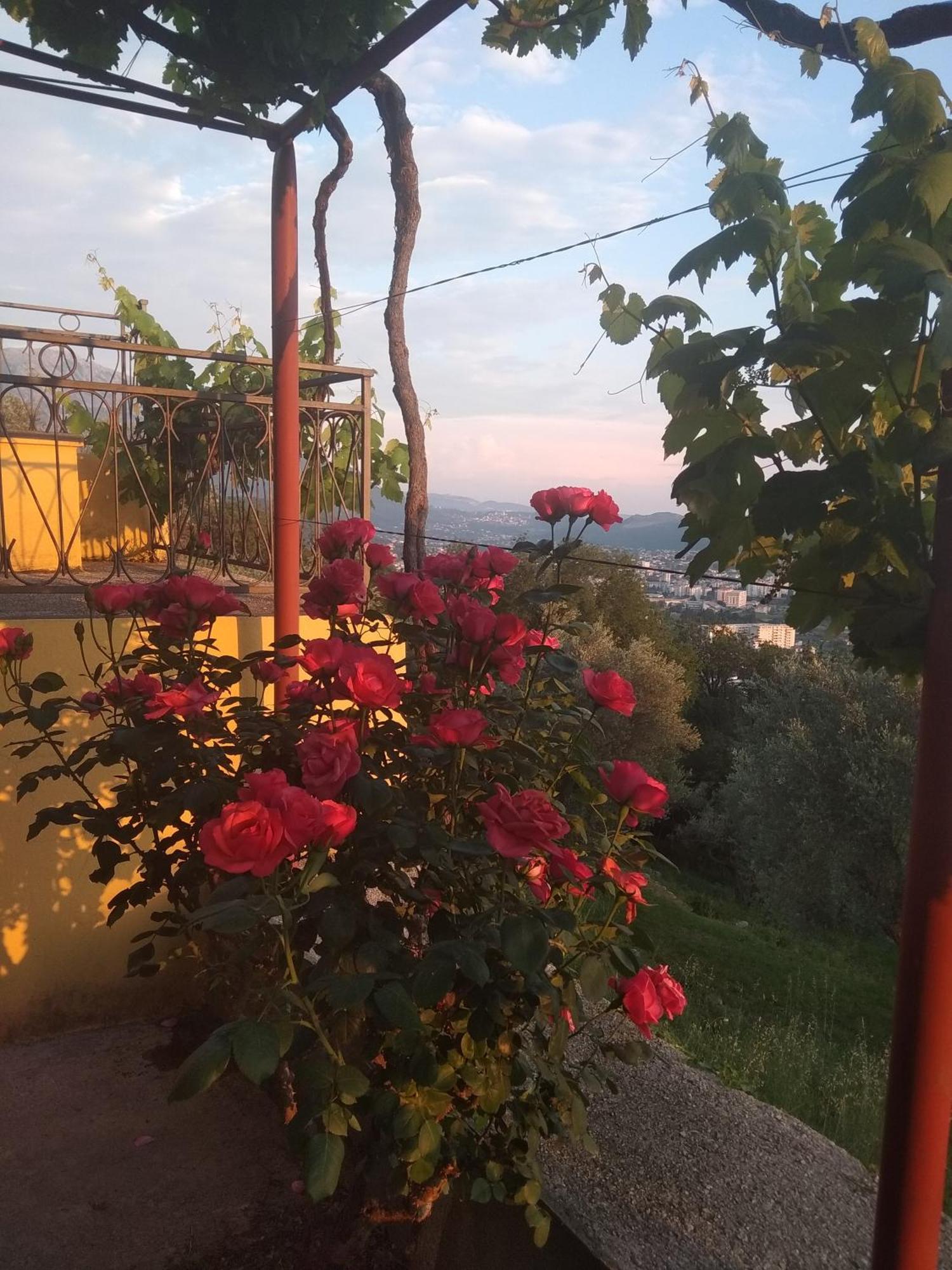 Apartman "Marko" Bar Exterior photo